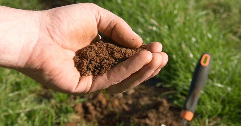 Піщаний грунт