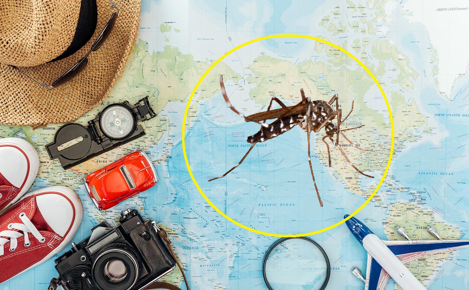 Малярія та ризик інфекції в тропічних країнах: Африка, Азія, Латинська Америка