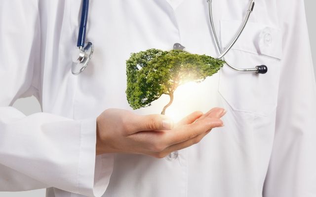 здоров'я печінки