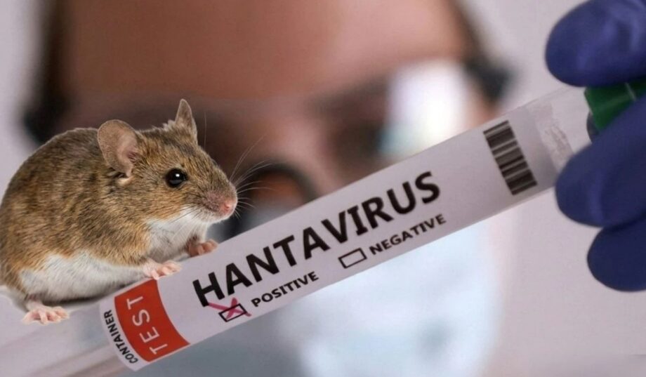 Хантавірус