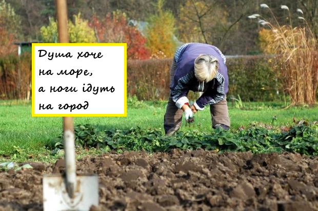 город