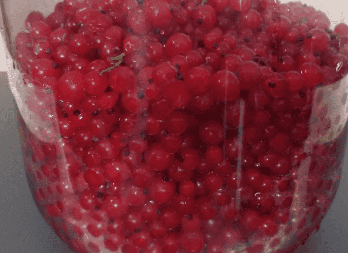 лікер з порічок